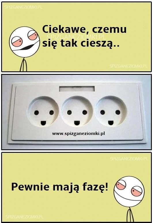 Na pewno mają fazę