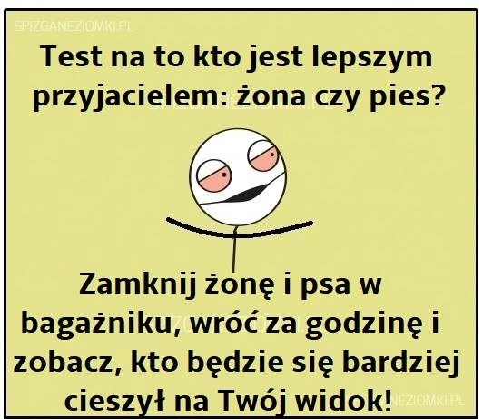 Lepszy przyjaciel