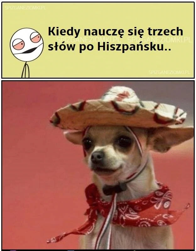 Hola Amigo