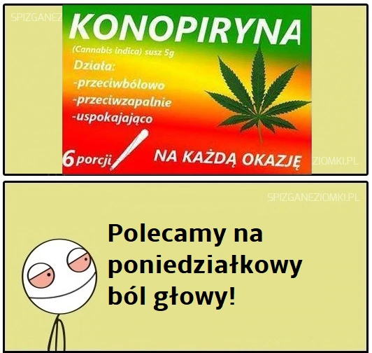 Konopiryna