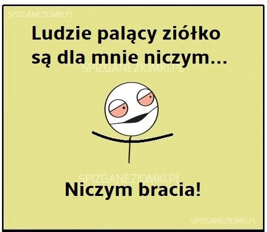 Niczym bracia
