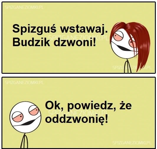 Oddzwonię