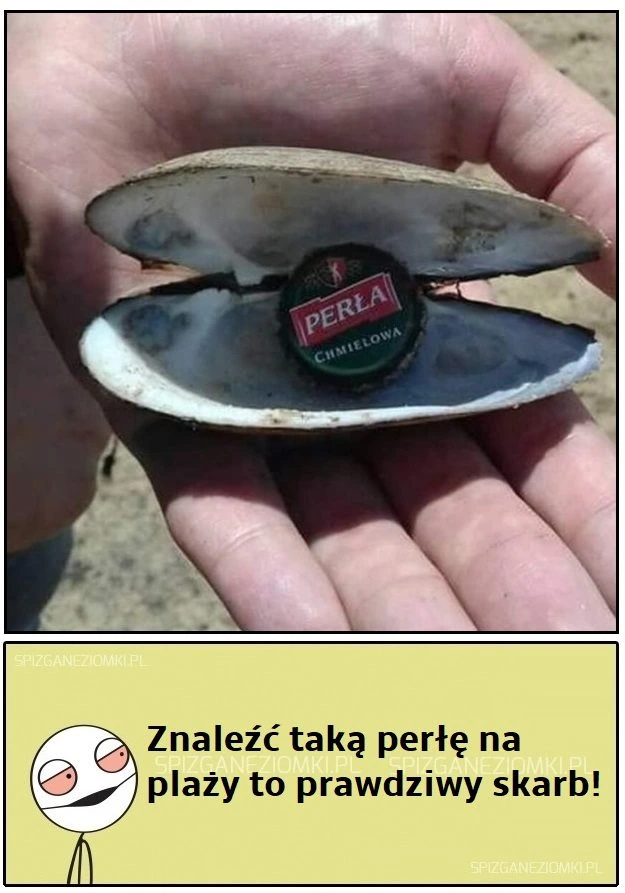 Prawdziwy skarb