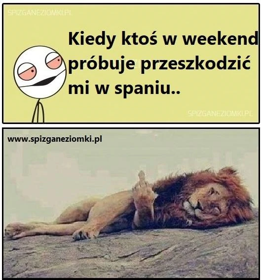 Weekendzik