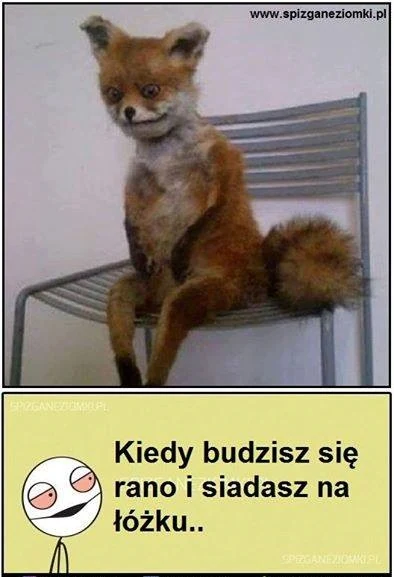Ciężkie poranki