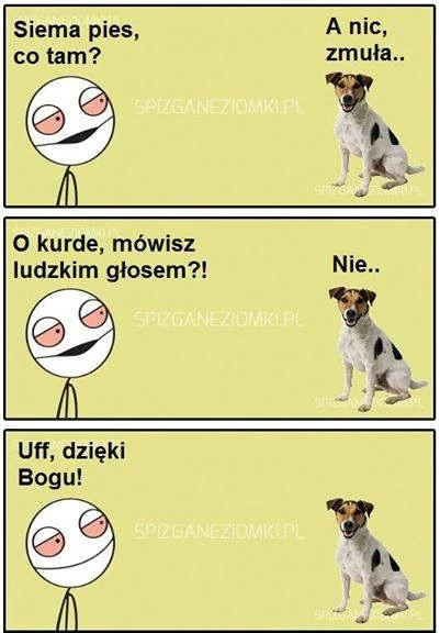 Spizgana gadka