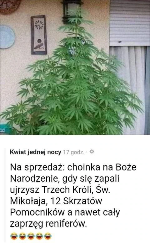 Choinka