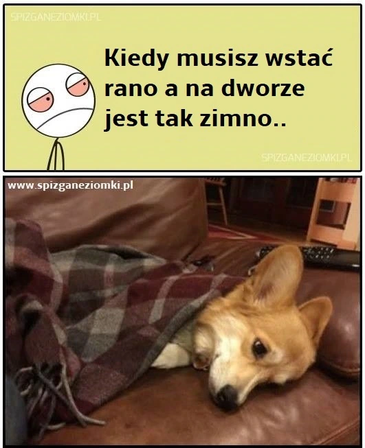 Wstawanie