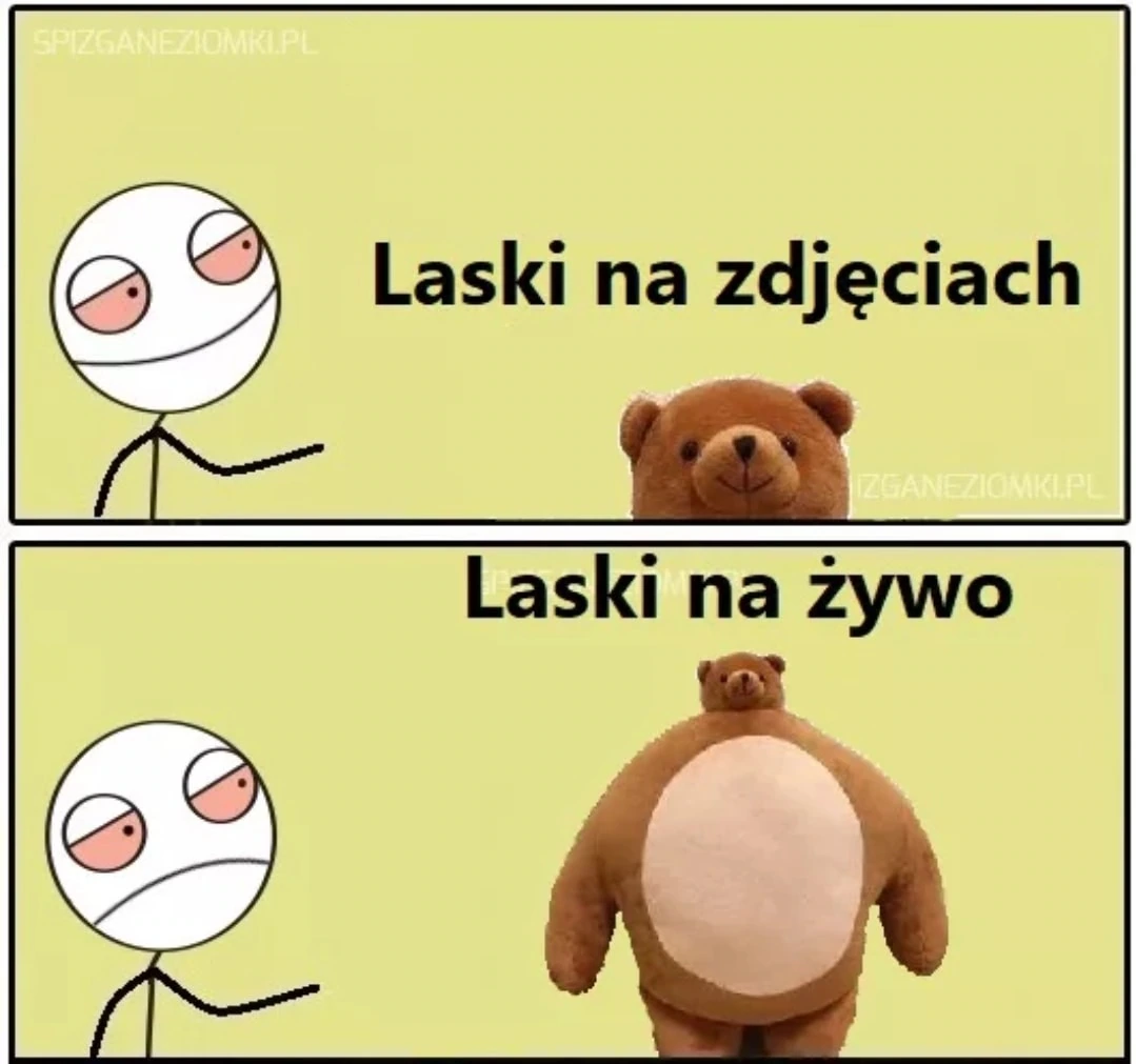 Zdjęcia