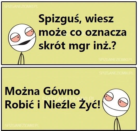 Mgr inż