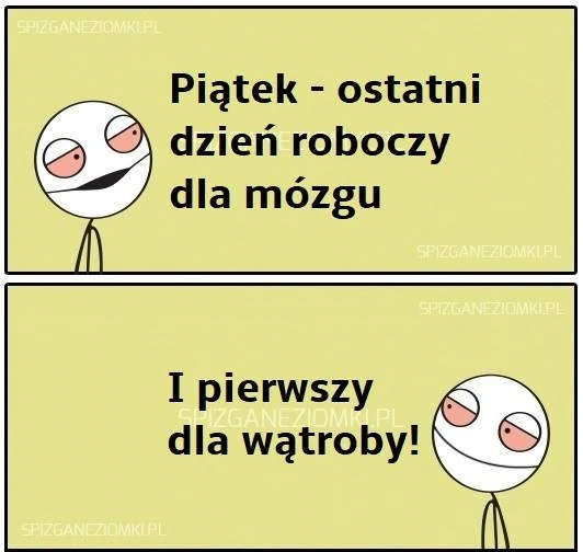 Dzień roboczy dla organizmu