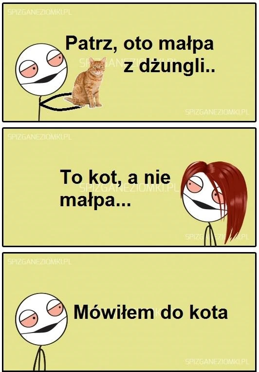 Małpa z dżungli