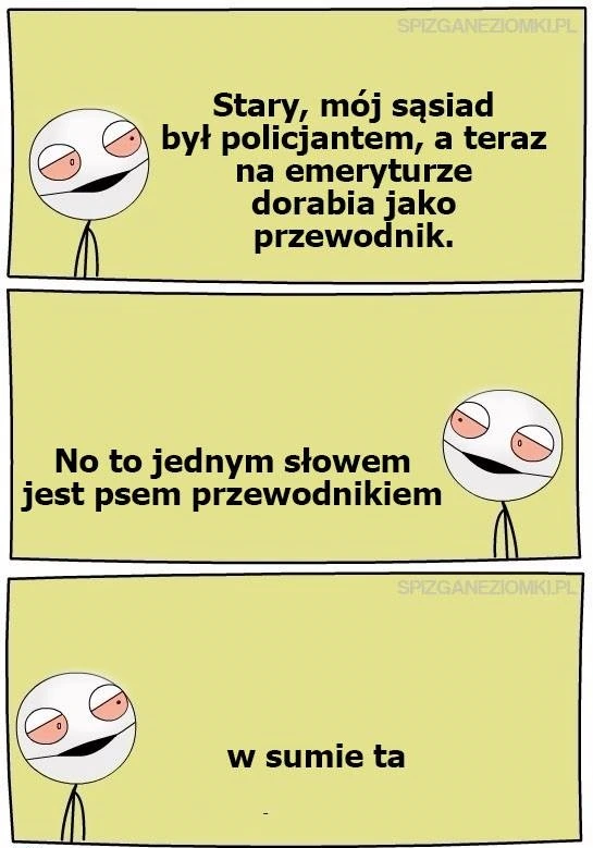 Pies przewodnik