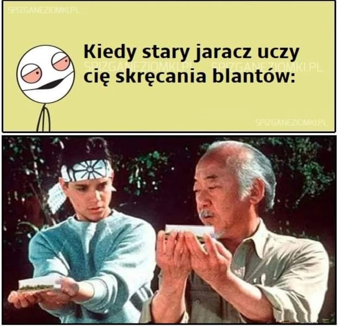 Stary jaracz