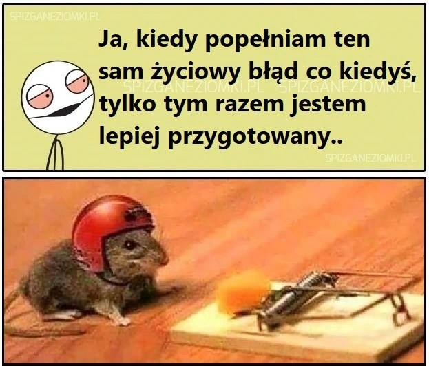 Doświadczenie