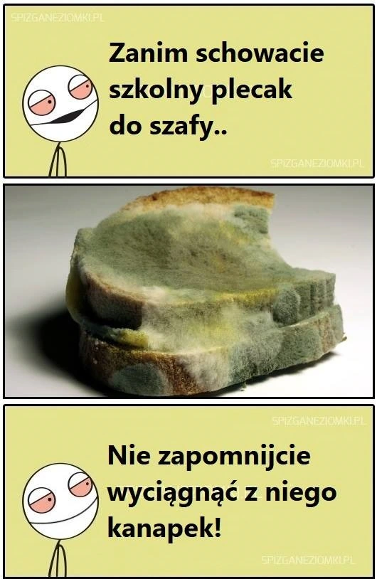 Zanim schowacie