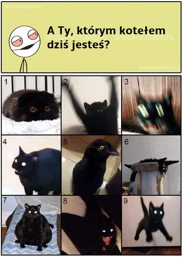 Koteły