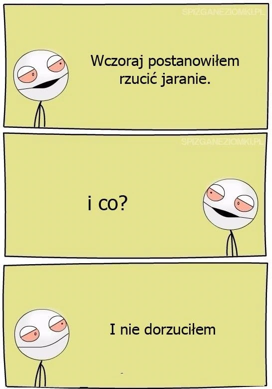 Nieźle