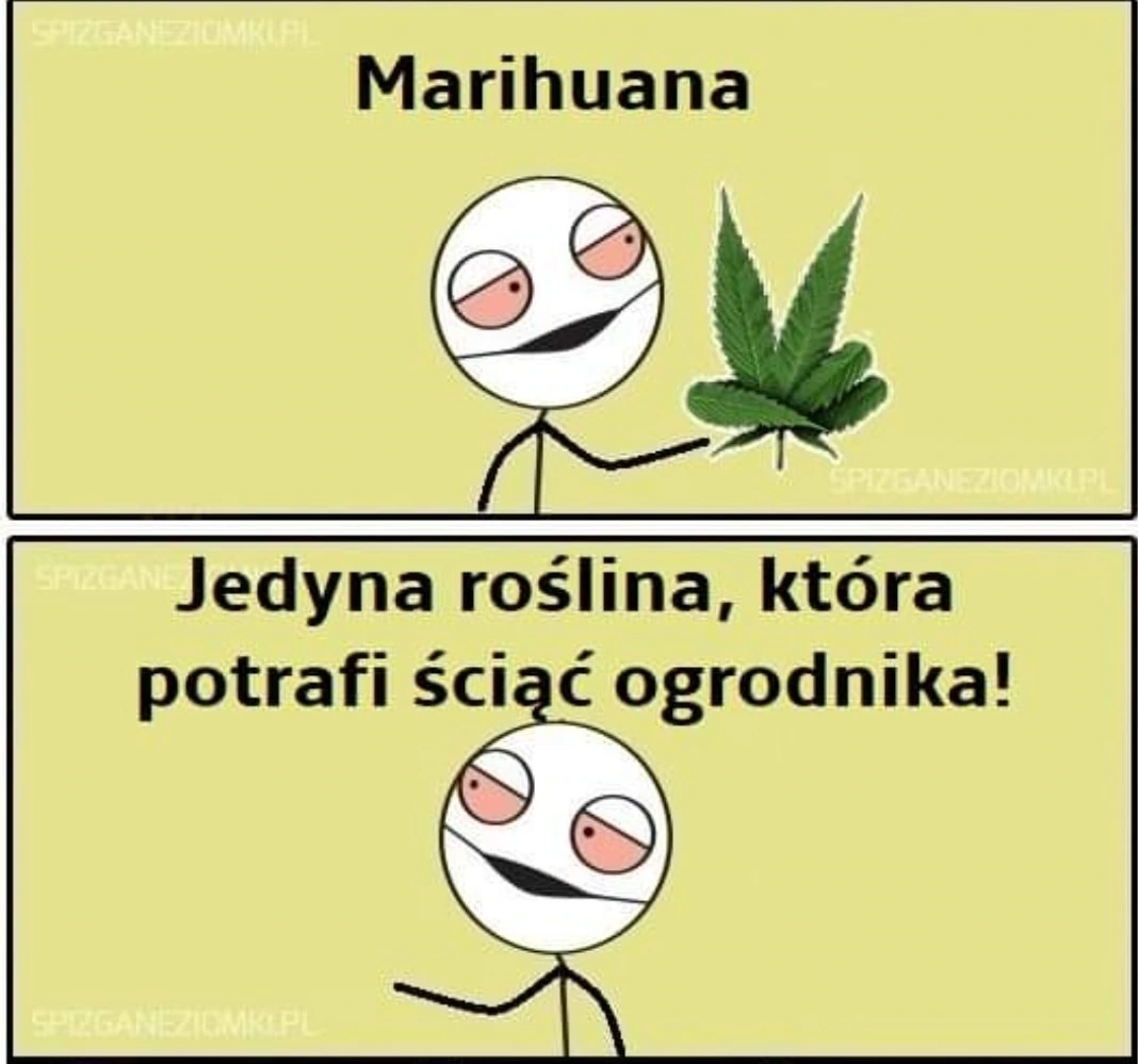 Marihuananana