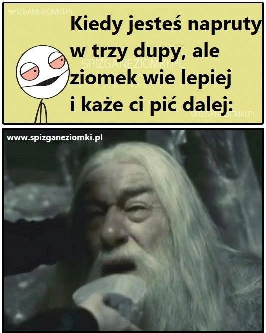 Ziomek wie lepiej