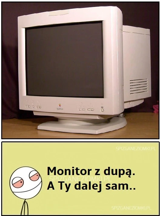 Singiel