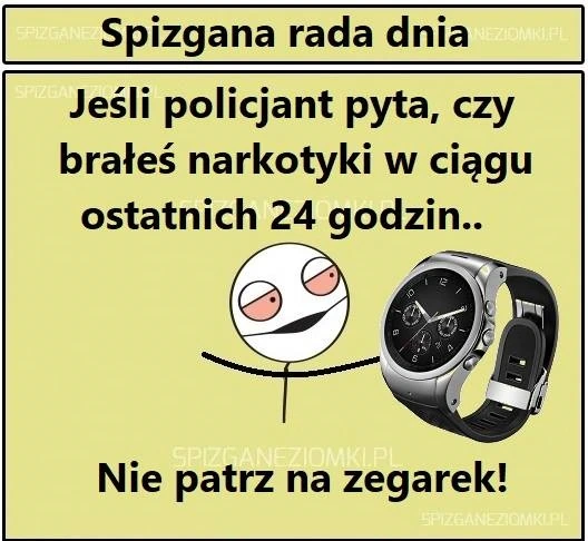 Rada dnia