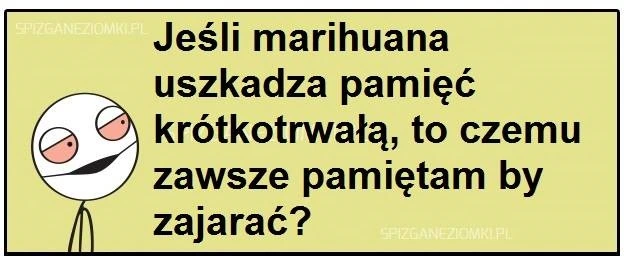 Zagadka