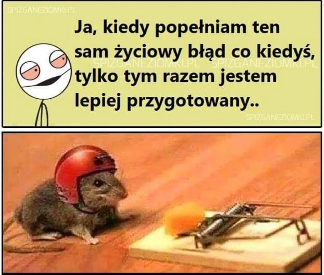 Lepiej przygotowany