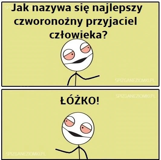 Czworonogi