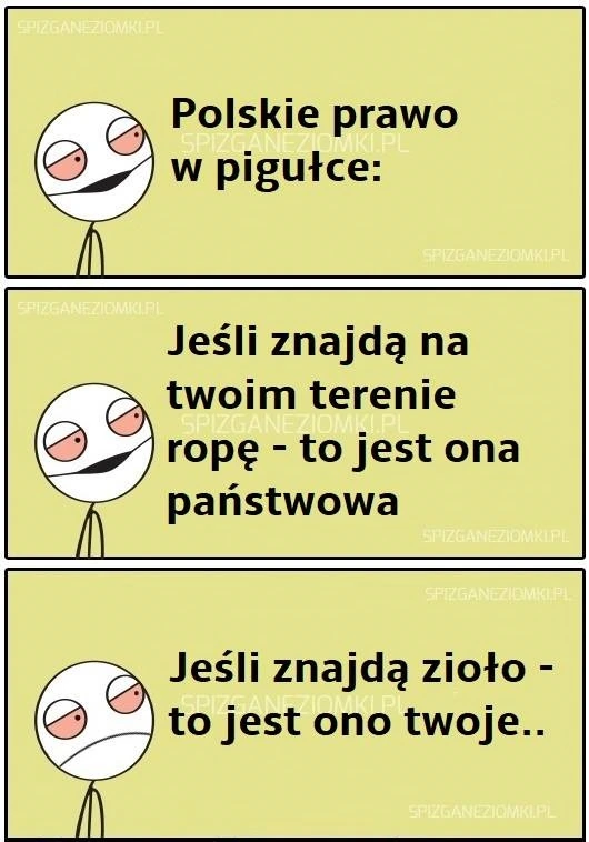 Polskie prawo to kpina