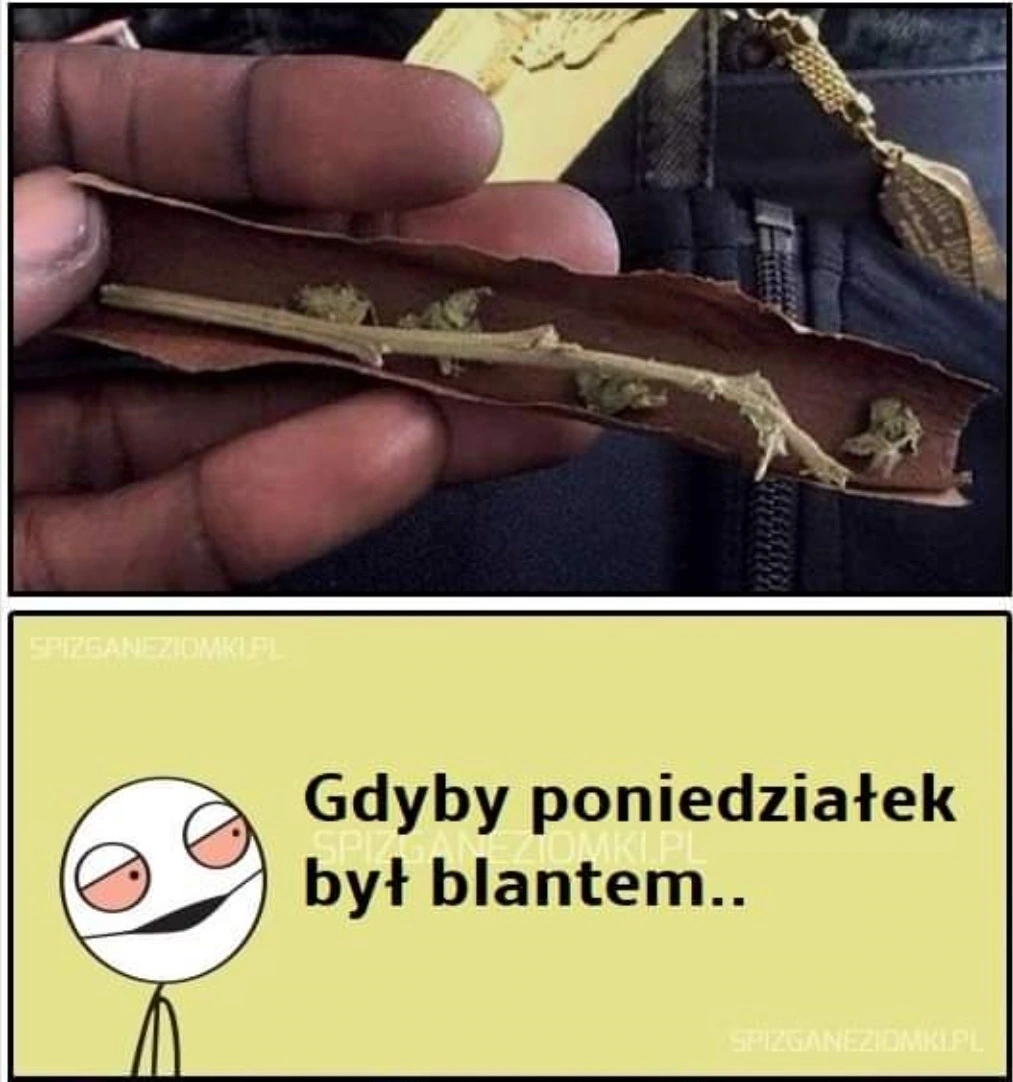 Gdyby poniedziałek był blantem
