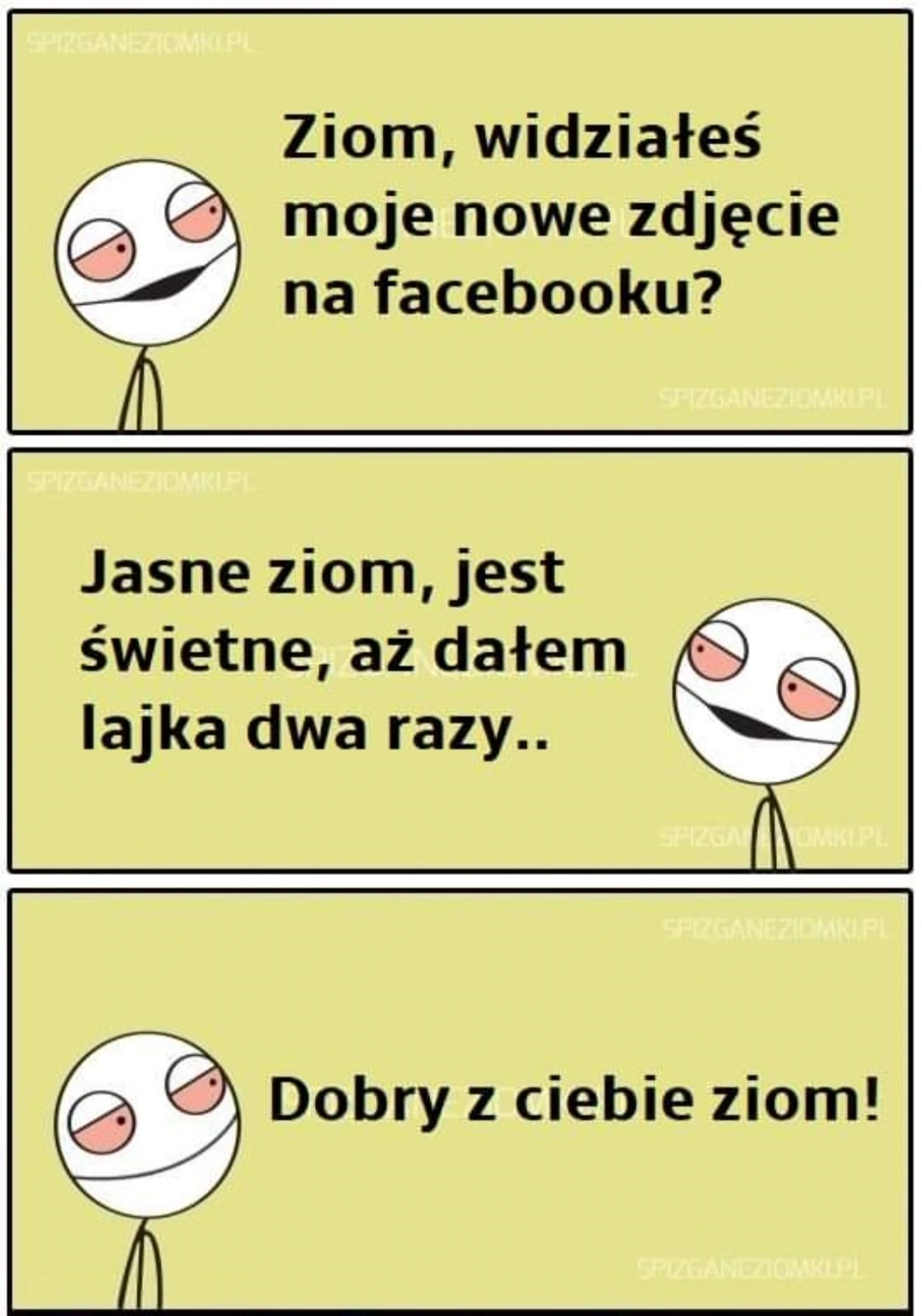 Dobry ziom