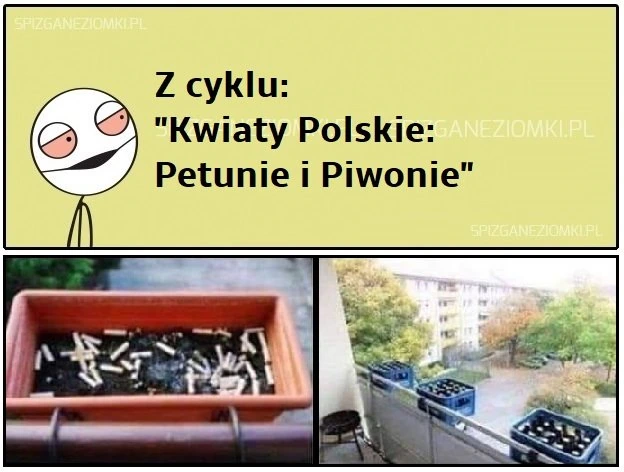Polskie kwiaty