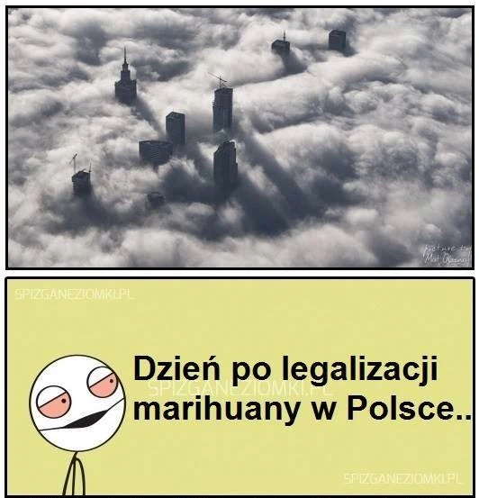 Legalizacja w PL