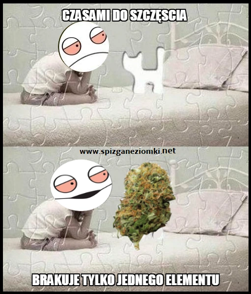 Czasami do szczęścia