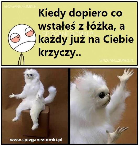Ciężki poranek