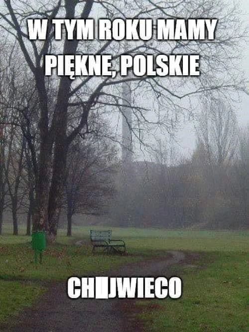 Jak co roku