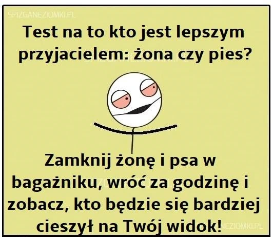 Żona czy pies?