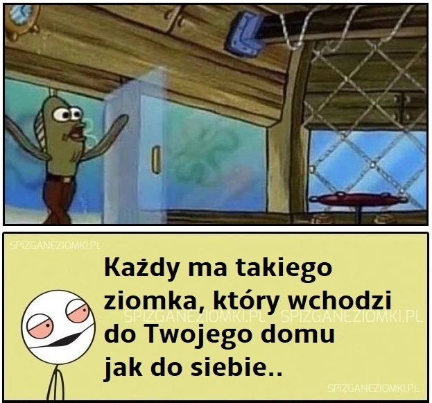 Ziomek