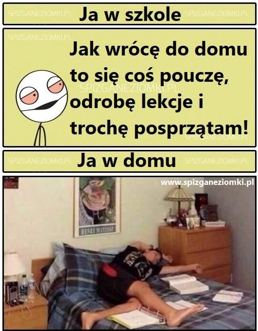 Bywa