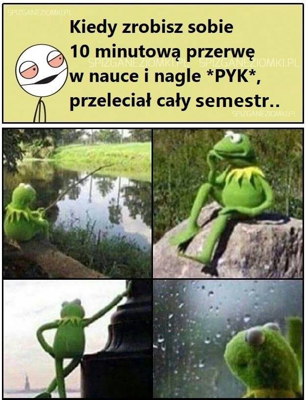 I po semestrze