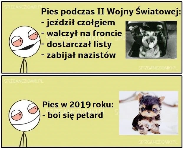 Pieseł