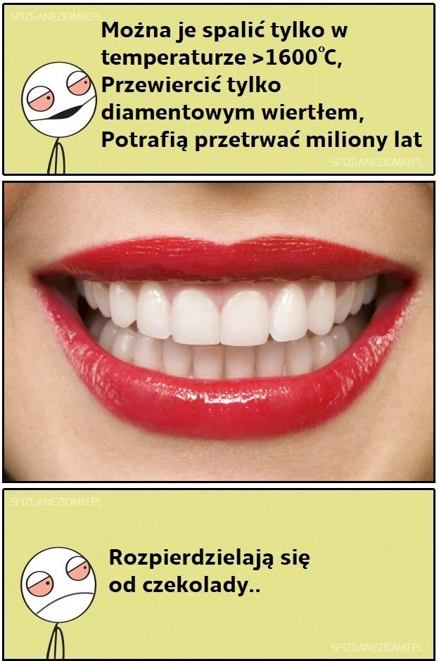 Zęby