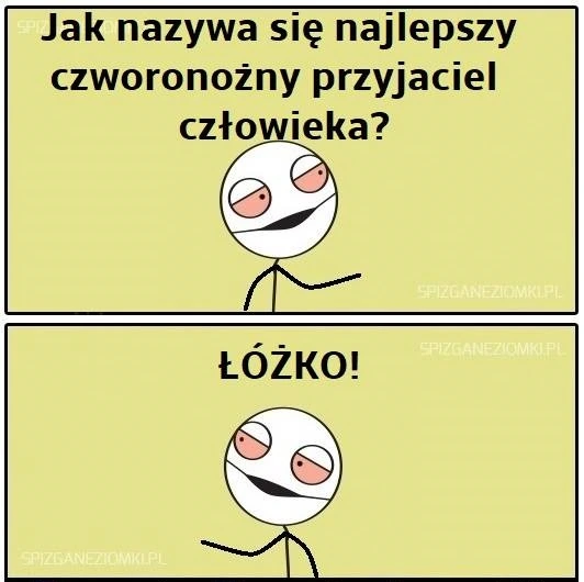 Czworonożny przyjaciel