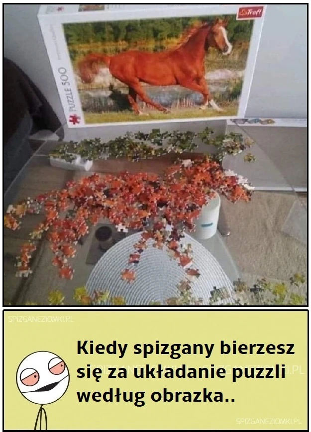 Puzzle