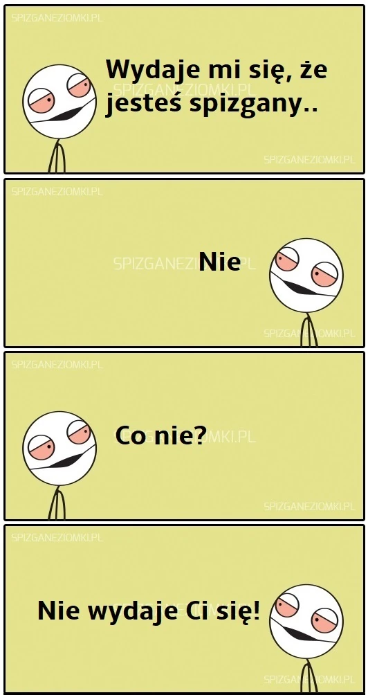 Wydaje mi się
