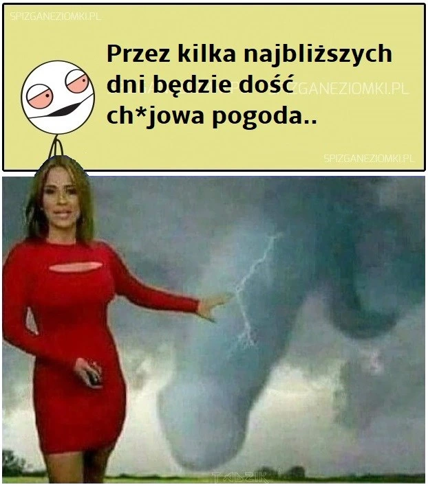 Pogoda