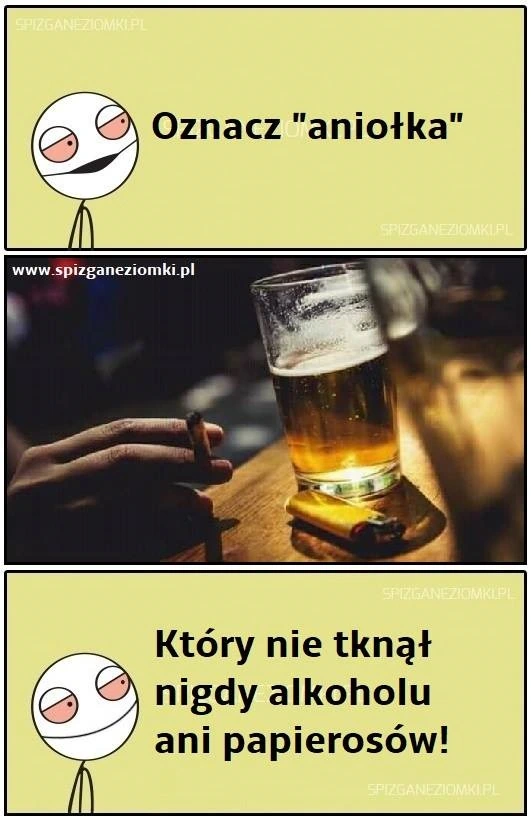 Aniołki