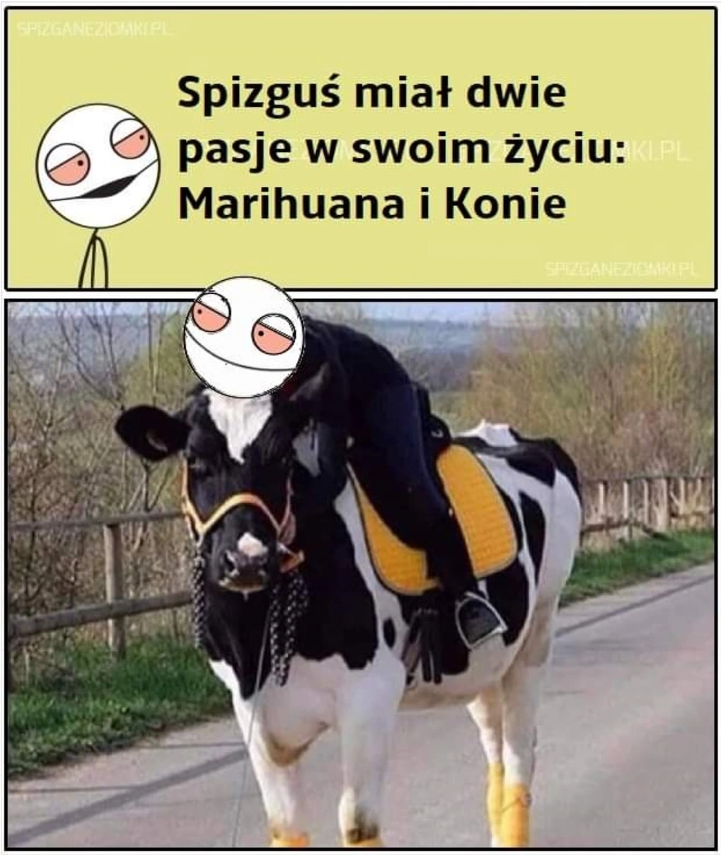 Pasje Spizgusia