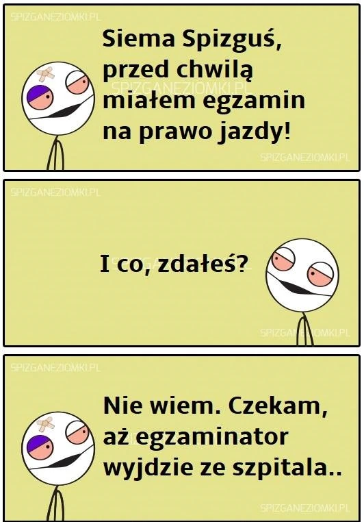 Egzamin na prawo jazdy